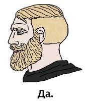 521x615