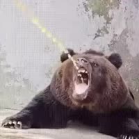 320x320