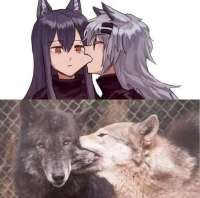 615x611