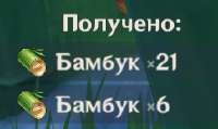 243x145