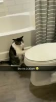 398x720