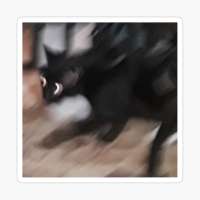 1000x1000