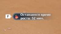 510x286