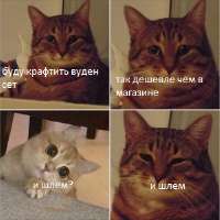 300x300