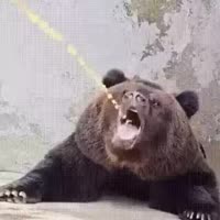 320x320