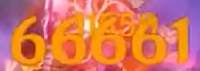 225x80