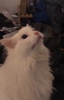 554x854