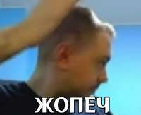 523x428