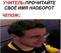 576x499