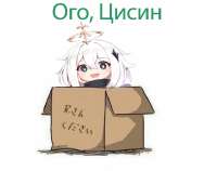 583x462