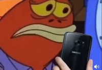 480x332