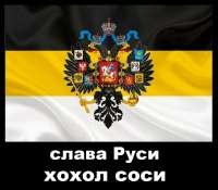 910x800