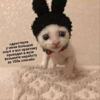 736x736