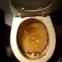 360x360