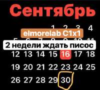 376x339