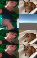 339x537