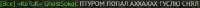 443x19