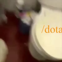 720x720