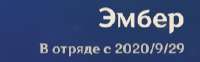 253x79