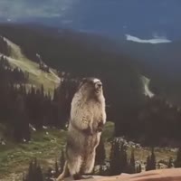 360x360