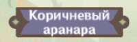 209x64