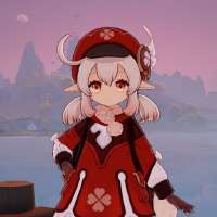 736x736
