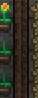 38x98