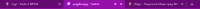 779x37