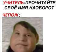 576x499