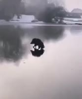 360x432
