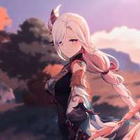 736x736