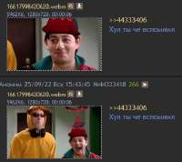 383x341
