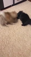360x640