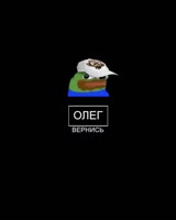 576x720