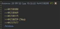 346x169