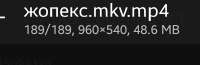 598x197