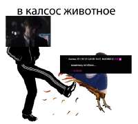 737x664