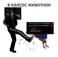 704x701