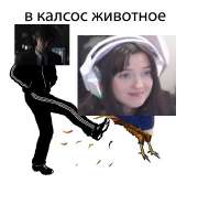 817x761