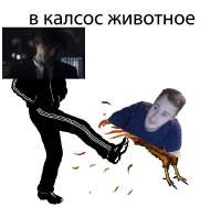 698x659