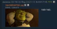 536x281