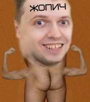 440x500