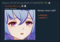 394x276