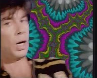 450x360