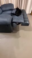 608x1080