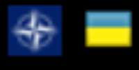 447x229
