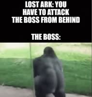 474x498