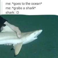 500x499