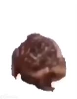720x918