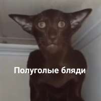 828x828